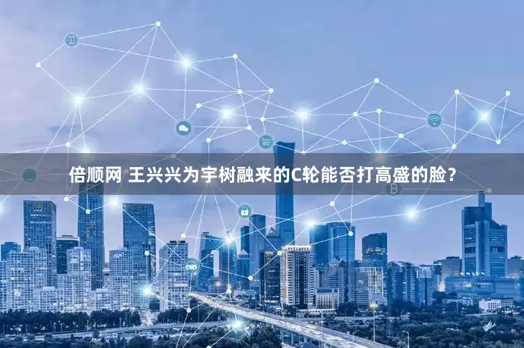 倍顺网 王兴兴为宇树融来的C轮能否打高盛的脸？