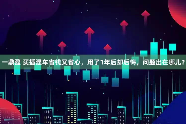 一鼎盈 买插混车省钱又省心，用了1年后却后悔，问题出在哪儿？