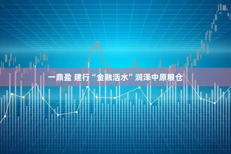 一鼎盈 建行“金融活水”润泽中原粮仓